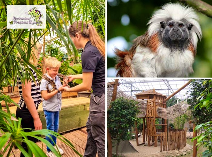 Entreeticket Berkenhof Tropical Zoo
