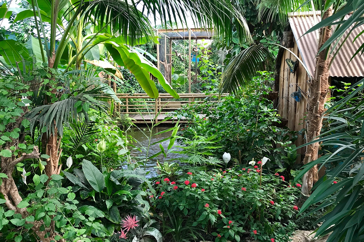 Entreeticket Berkenhof Tropical Zoo