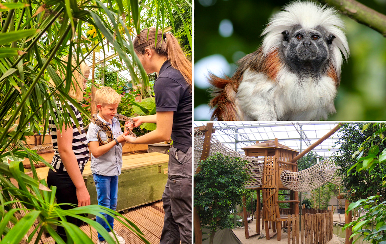 Entreeticket Berkenhof Tropical Zoo