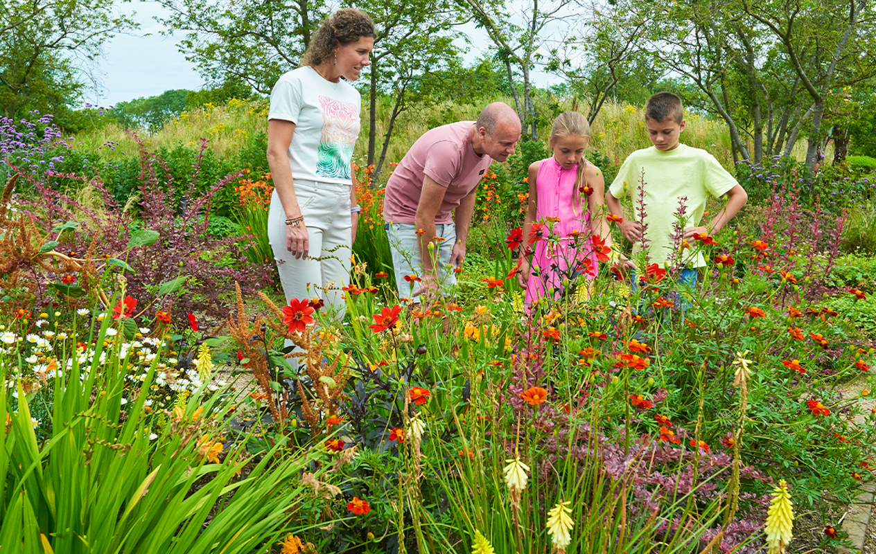 Entreeticket Bloemenpark Appeltern