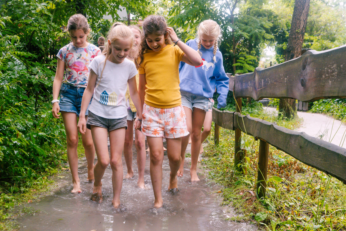 Entreeticket BloteVoetenPark