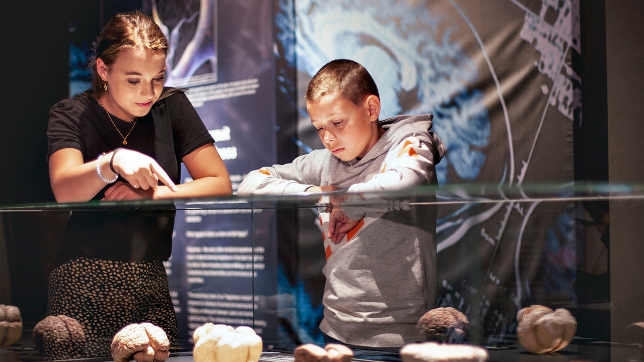 Entreeticket BODY WORLDS