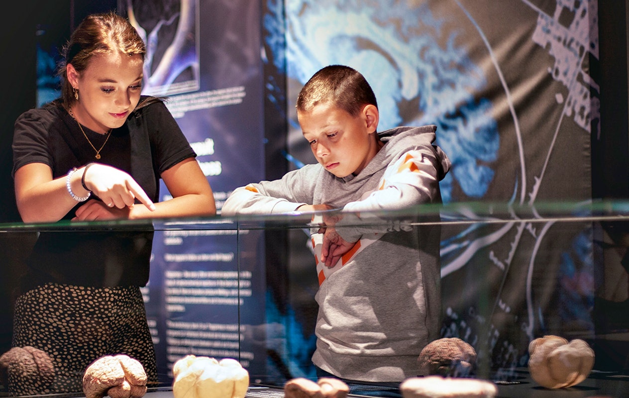 Entreeticket BODY WORLDS
