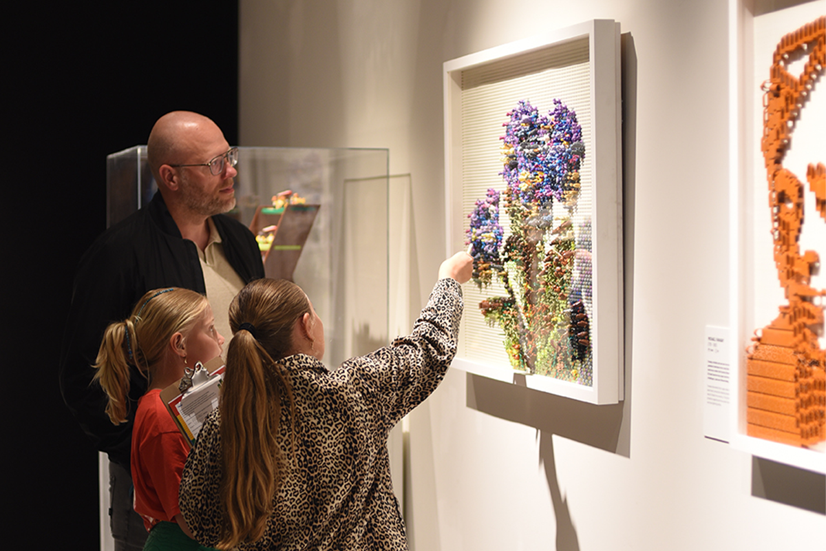 Entreeticket Bricks of Wonder®