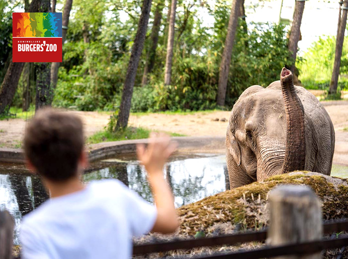 Entreeticket Burgers' Zoo