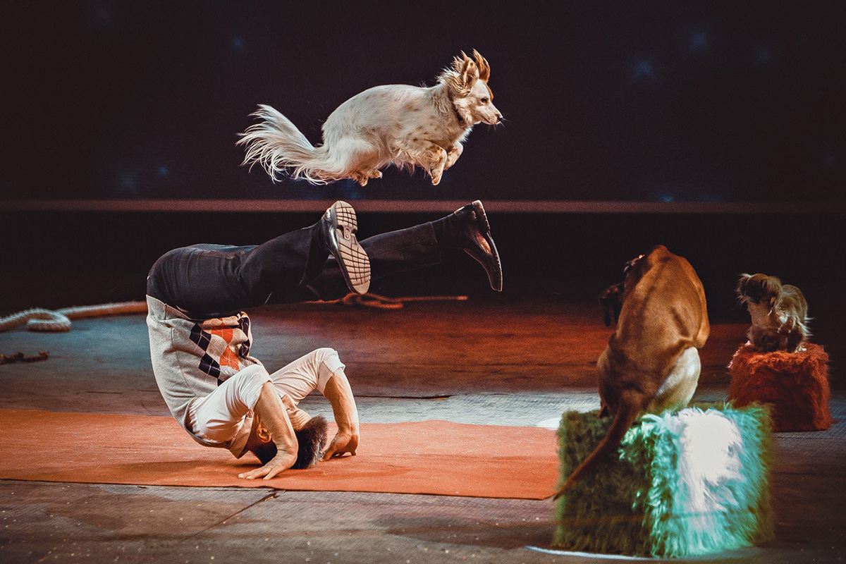 Entreeticket Circus Chapito