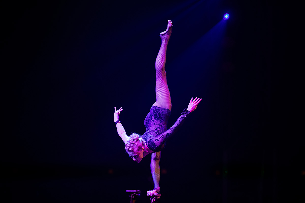 Entreeticket Circus Chapito