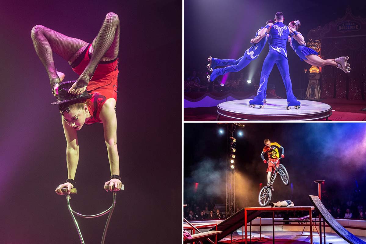 Entreeticket Circus Chapito