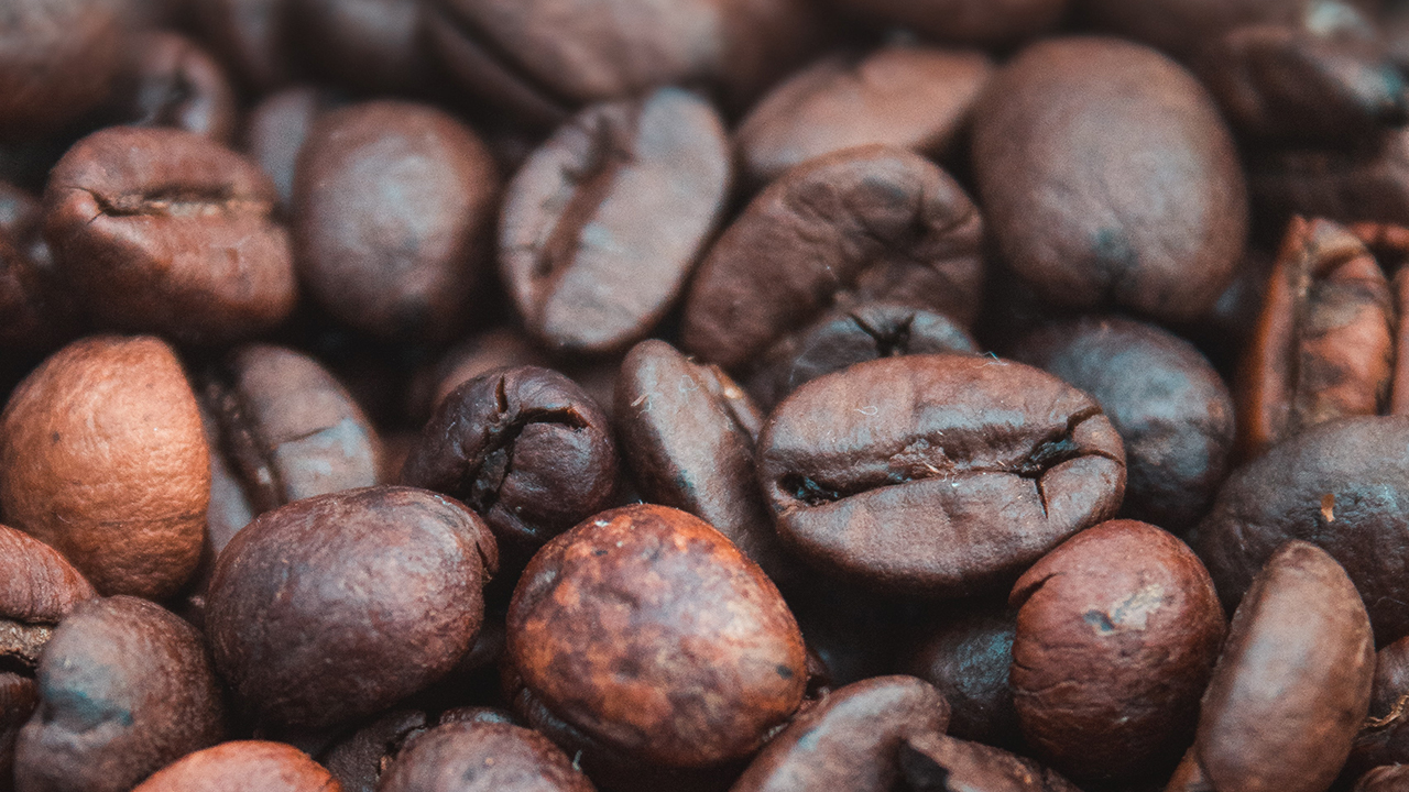 Leer alles over koffie bij Coffee Experiences in Eindhoven 