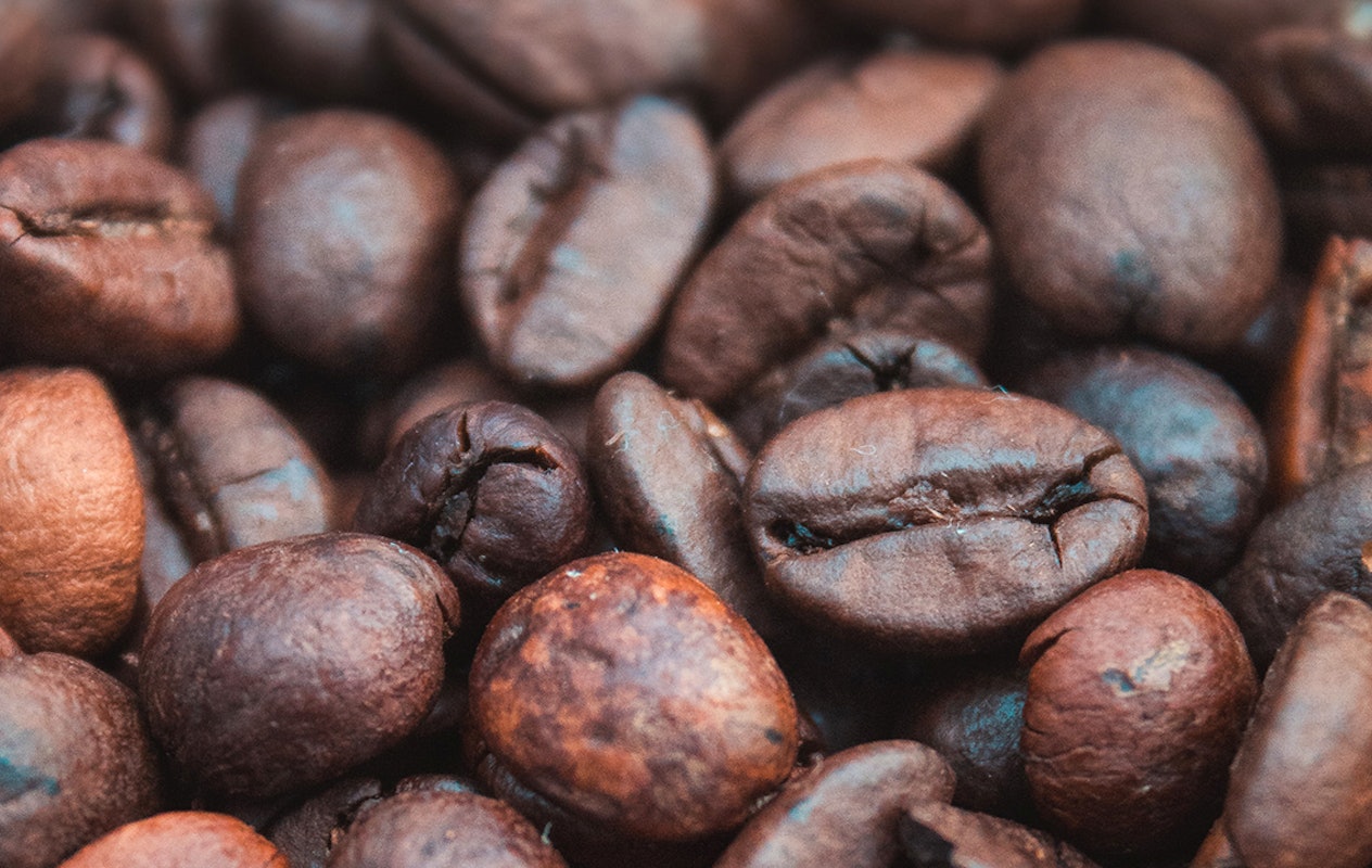 Leer alles over koffie bij Coffee Experiences in Eindhoven