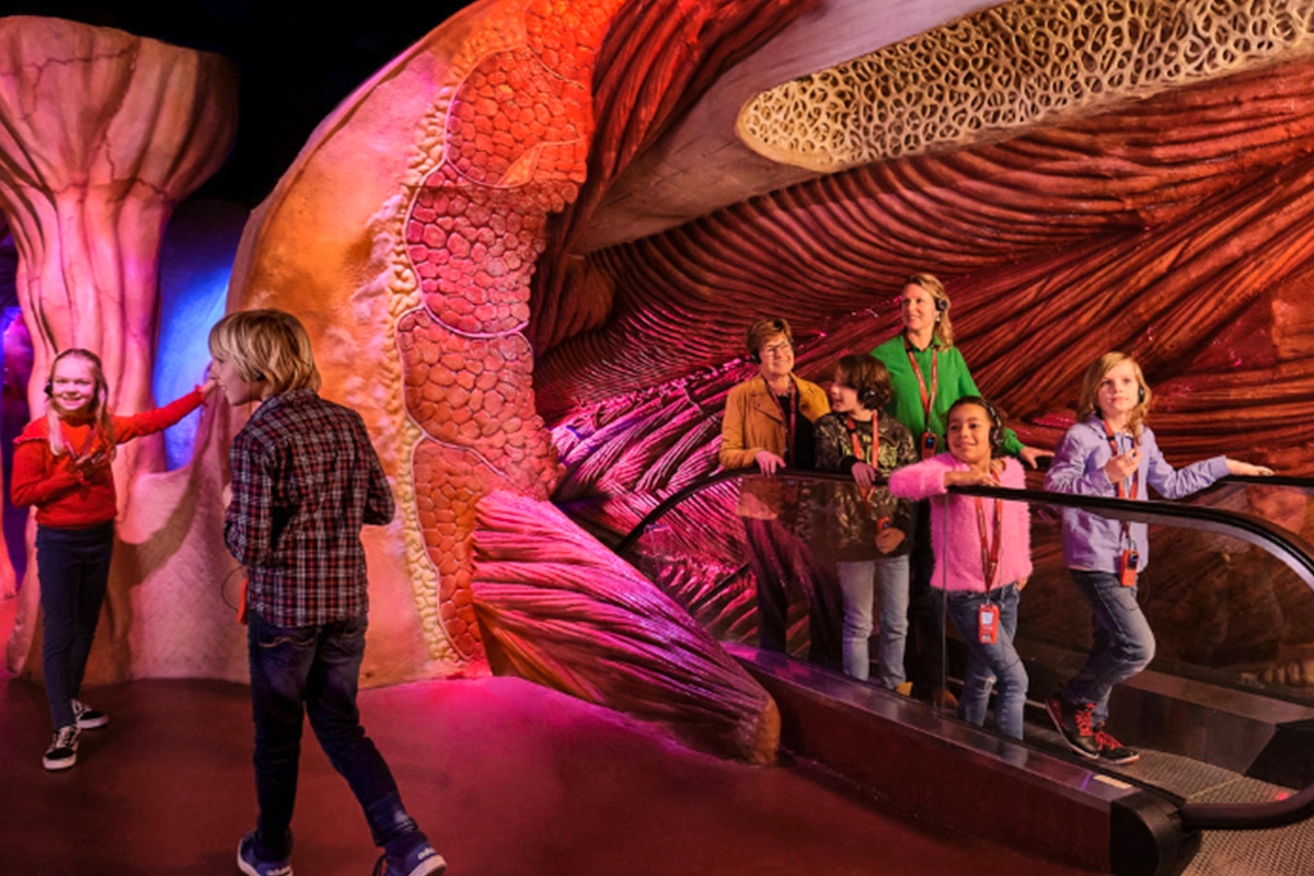 Save €6 · CORPUS Family Science Visit