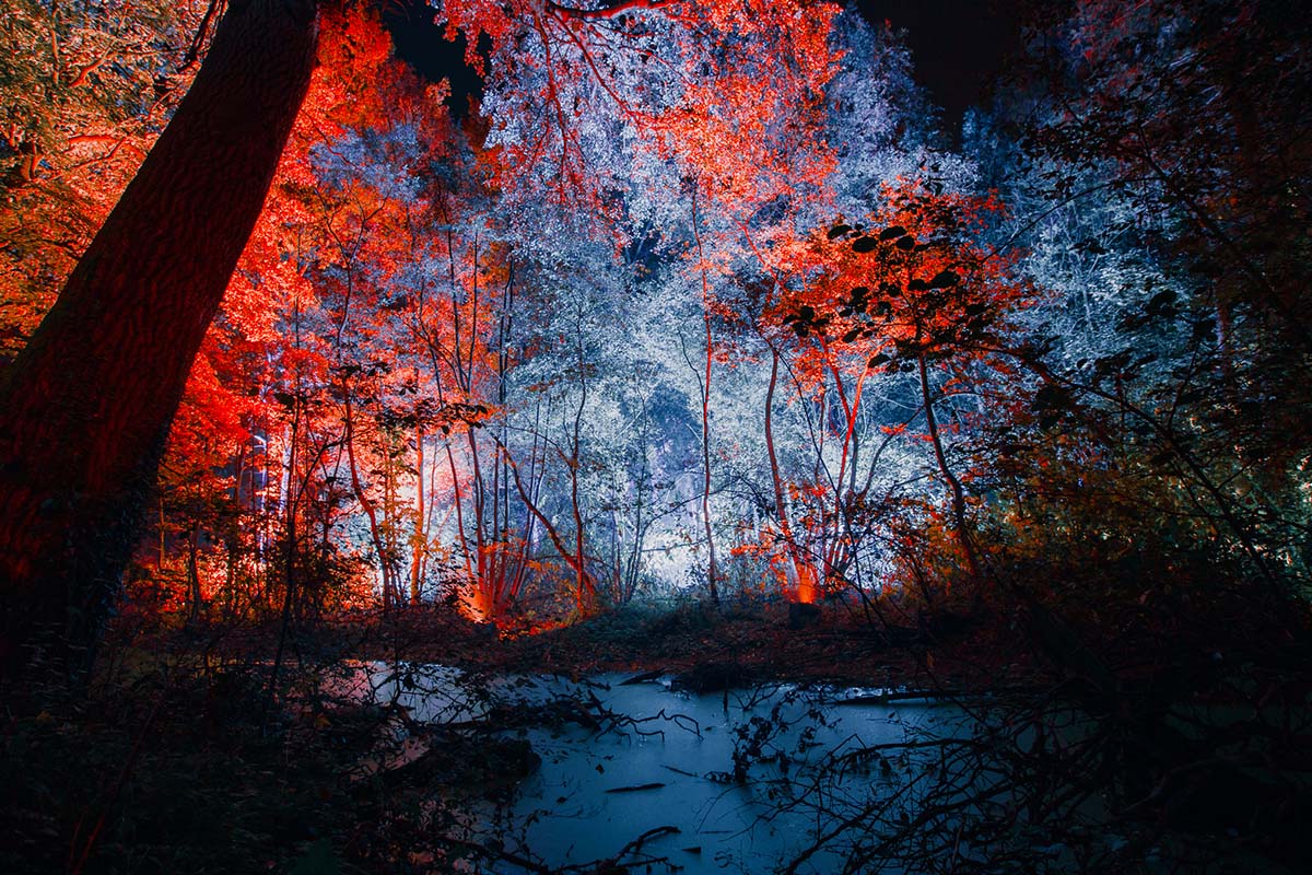 Entreeticket De Grote Schijn Antwerpen