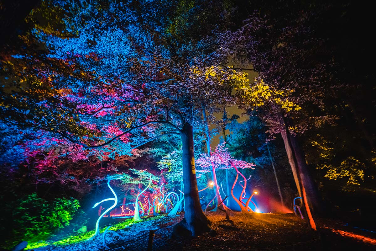 Entreeticket De Grote Schijn Antwerpen