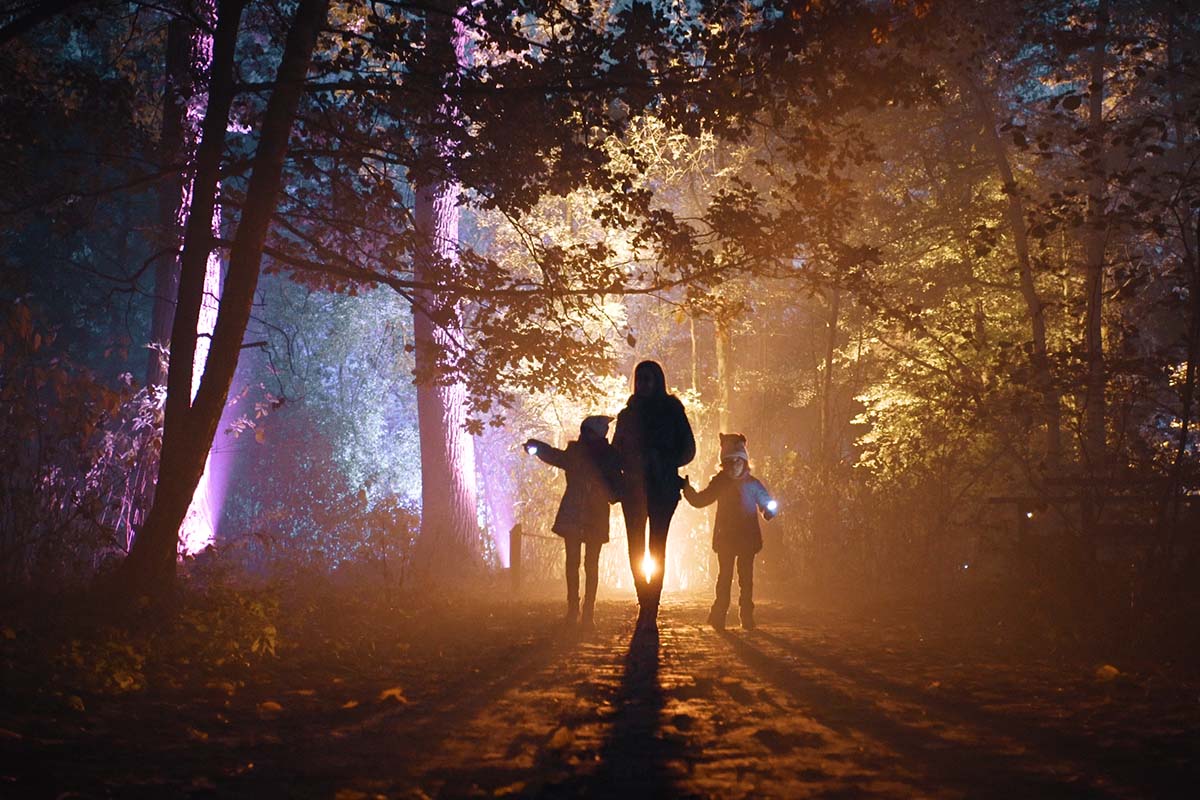 Entreeticket De Grote Schijn Antwerpen