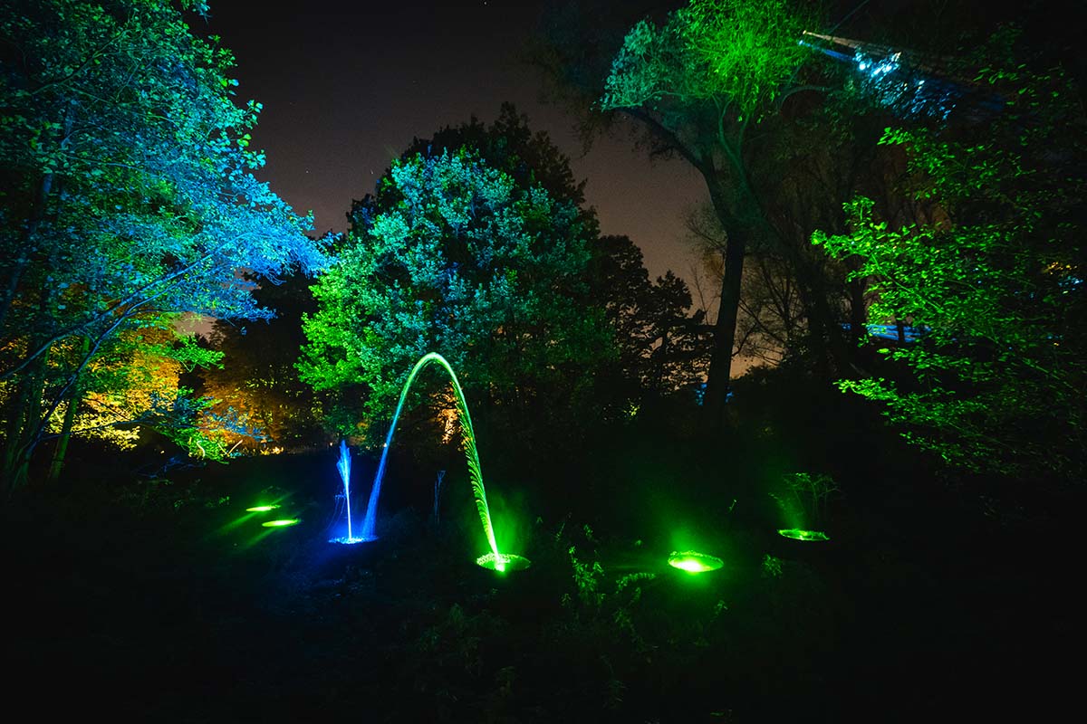 Entreeticket De Grote Schijn Antwerpen