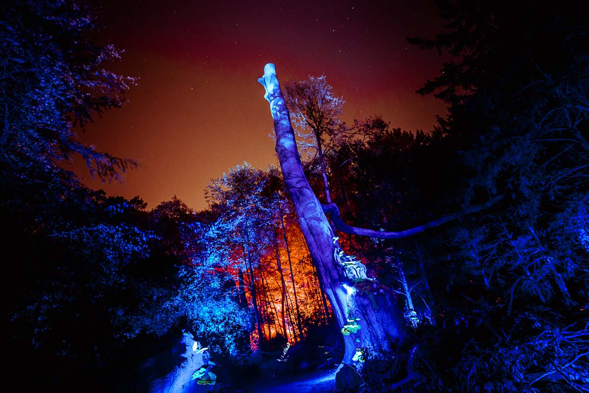 Entreeticket De Grote Schijn Antwerpen