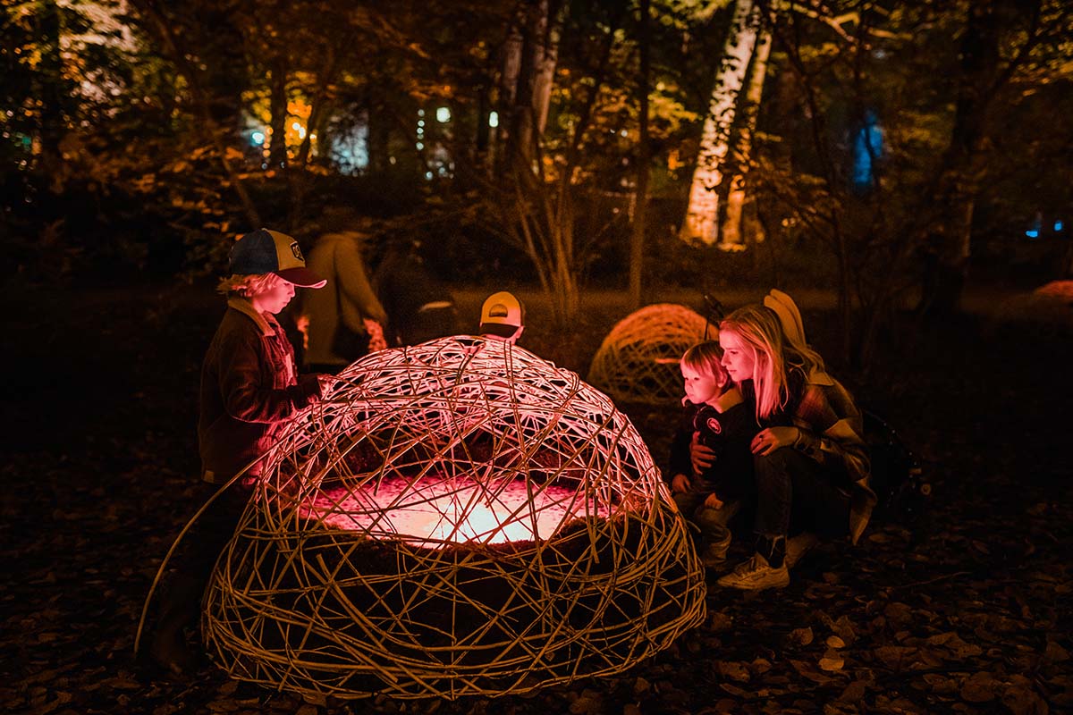 Entreeticket De Grote Schijn Antwerpen