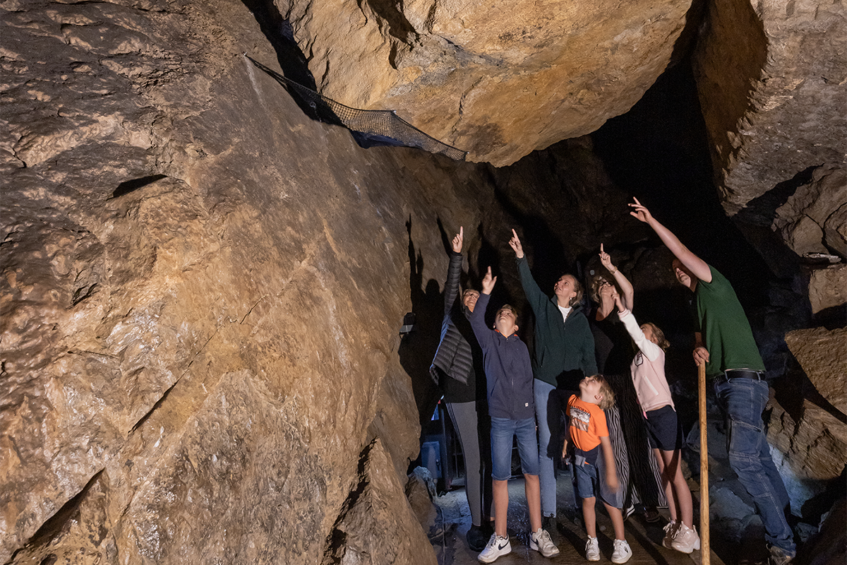 Billet d'entrée aux Grottes de Remouchamps 