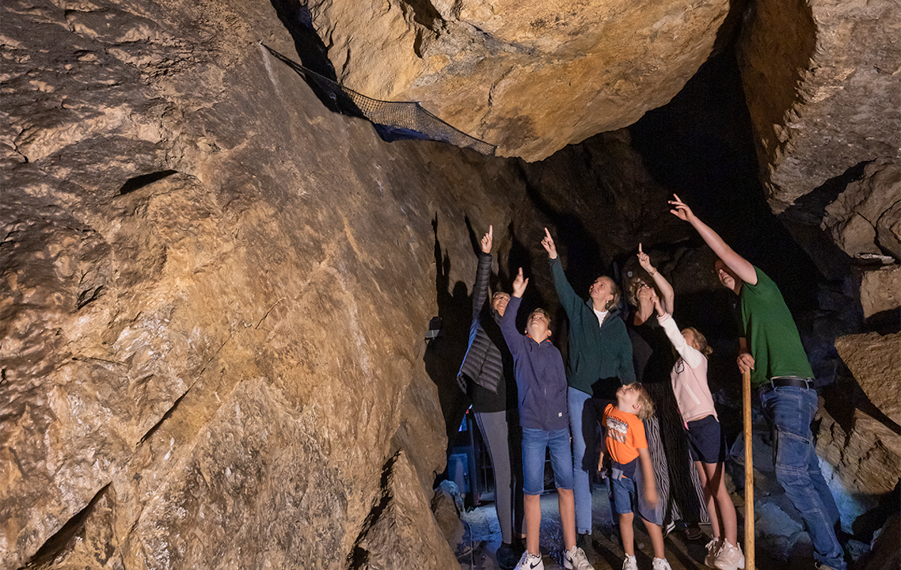 Entreeticket De Grotten van Remouchamps