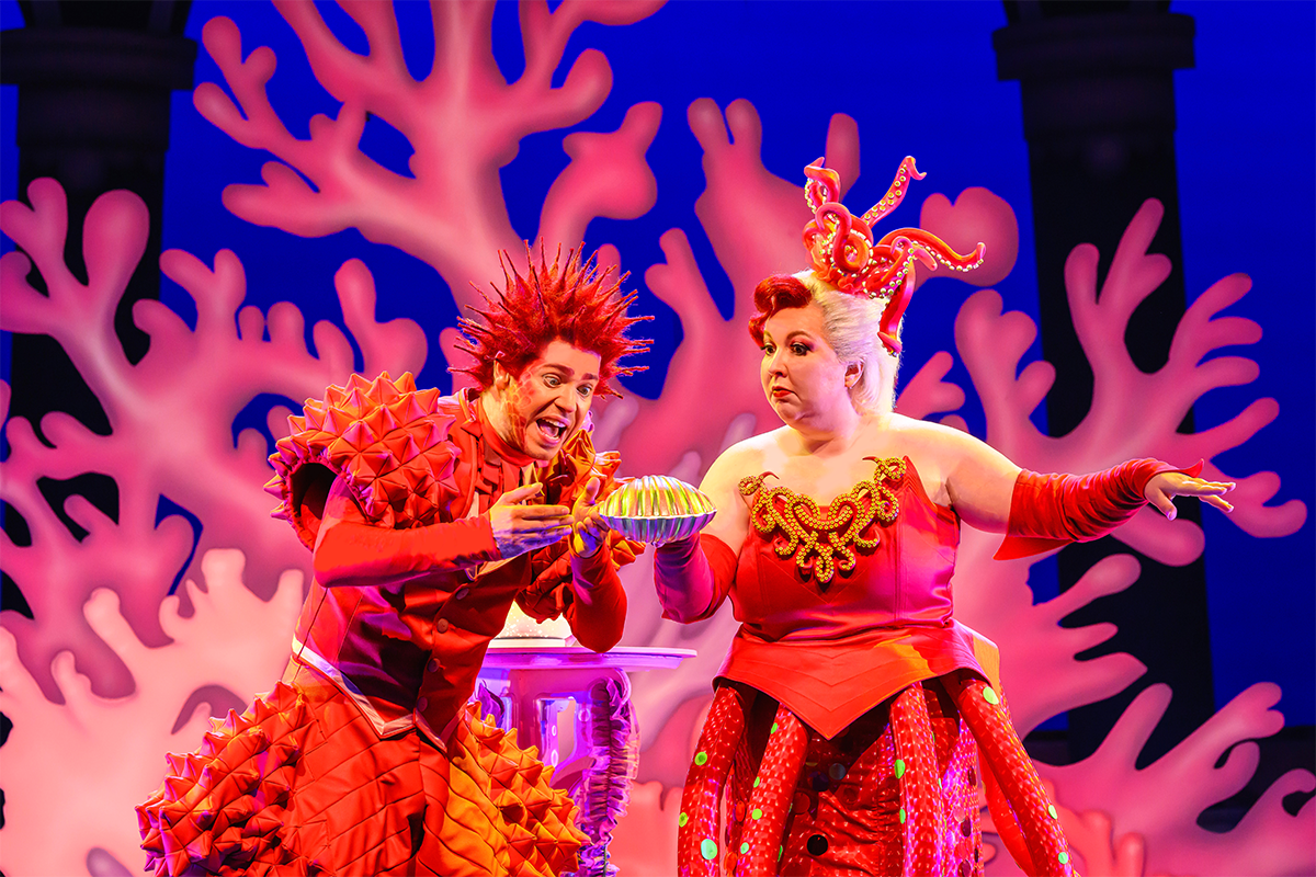 Entreeticket De Kleine Zeemeermin De Musical