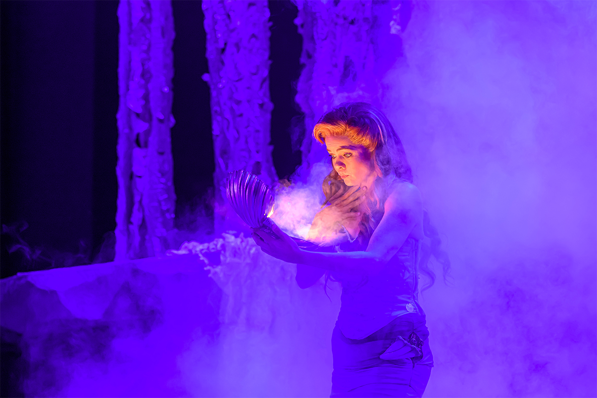 Entreeticket De Kleine Zeemeermin De Musical