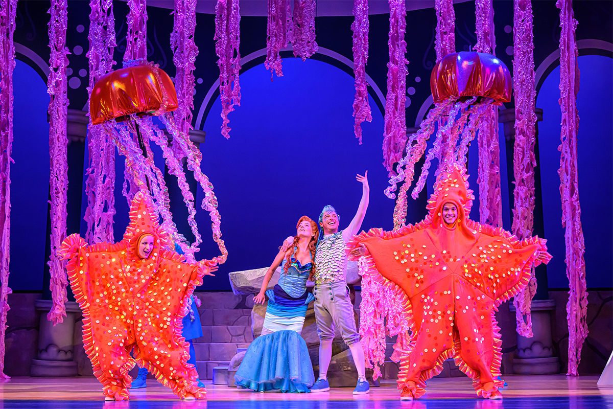 Entreeticket De Kleine Zeemeermin De Musical