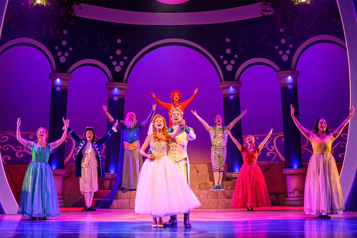 Entreeticket De Kleine Zeemeermin De Musical