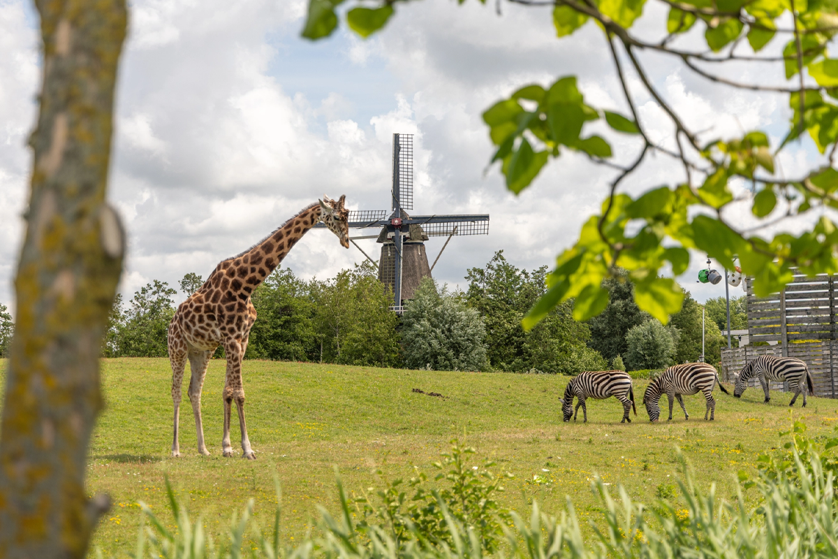 Tickets voor Van Blanckendaell Park