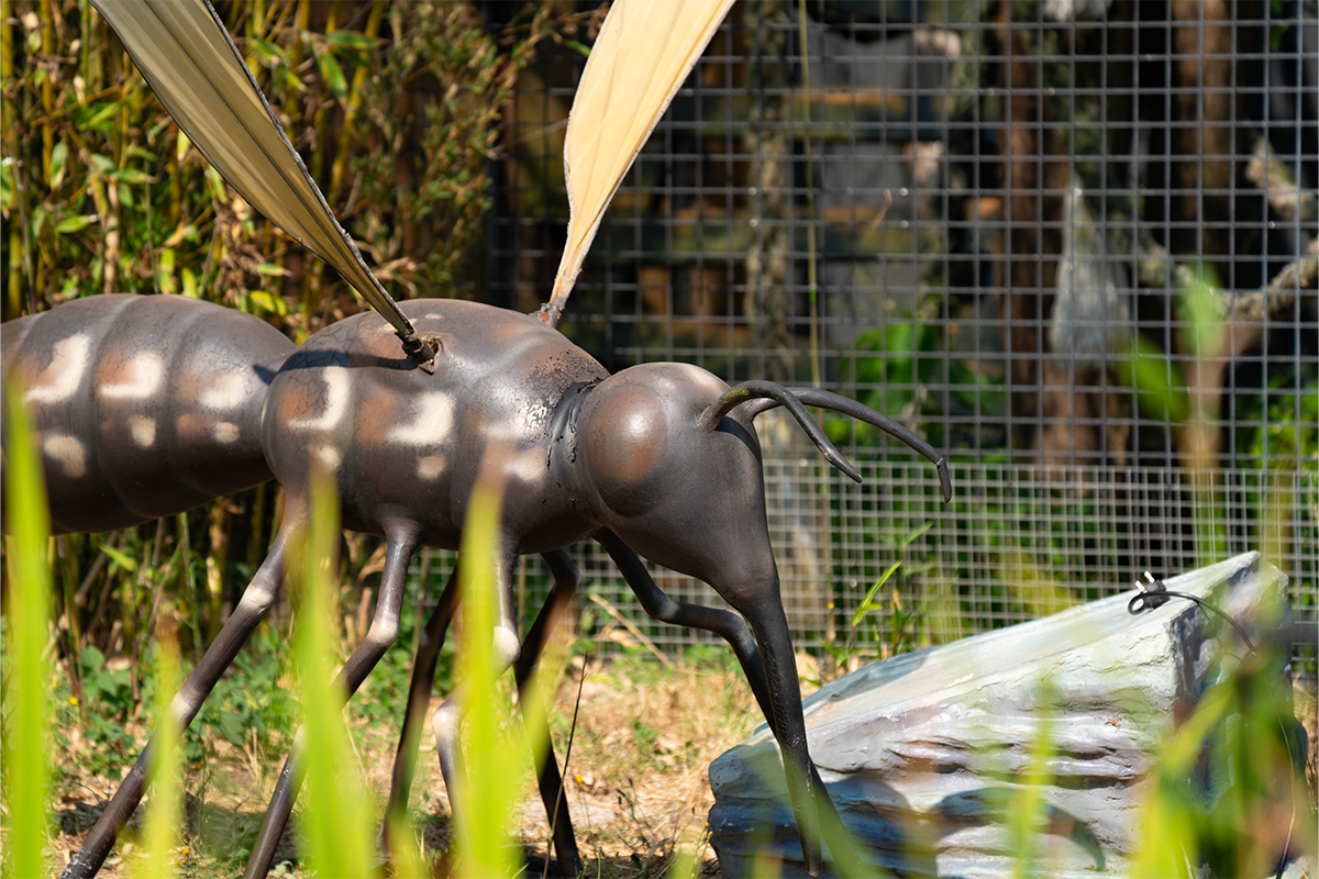 Entreeticket Dierenpark Zie-ZOO
