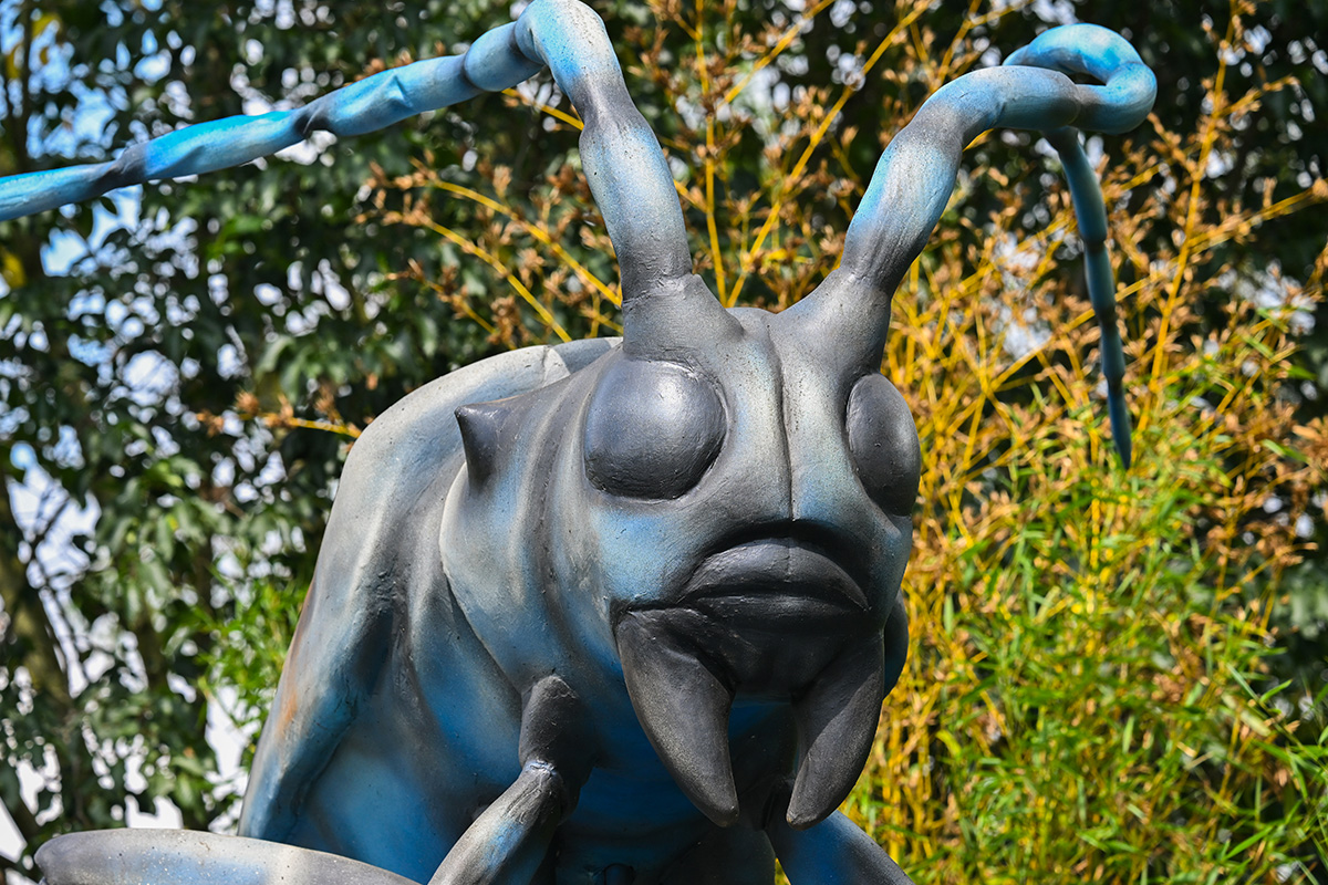 Entreeticket Dierenpark Zie-ZOO