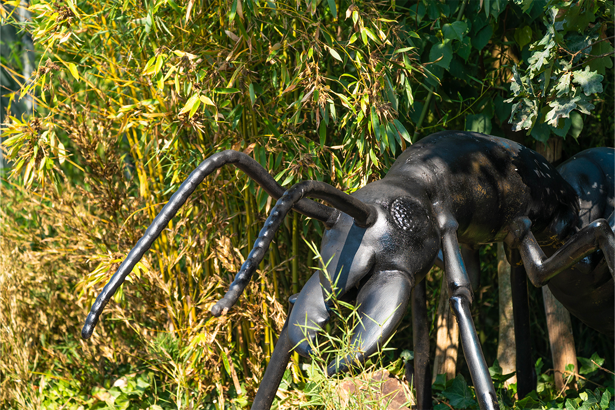 Entreeticket Dierenpark Zie-ZOO