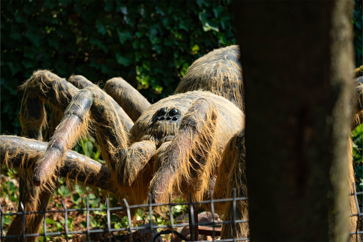 Entreeticket Dierenpark Zie-ZOO