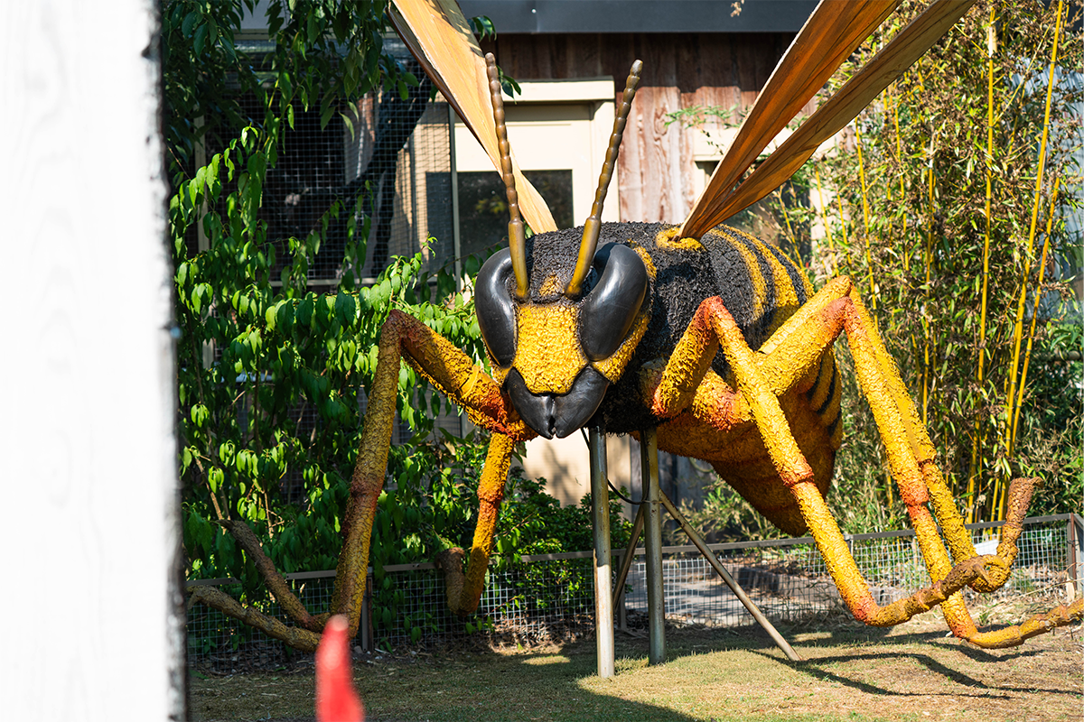 Entreeticket Dierenpark Zie-ZOO