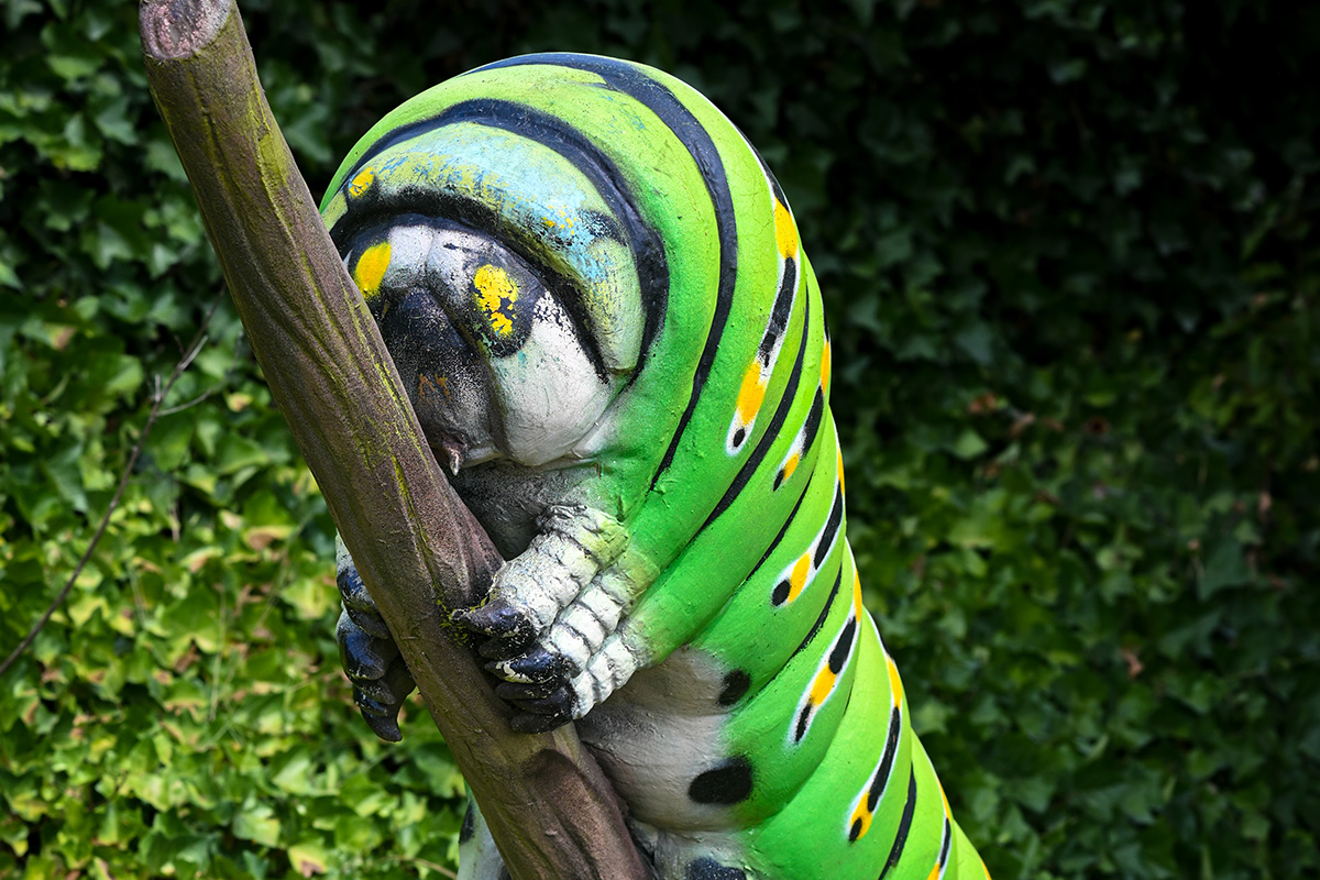 Entreeticket Dierenpark Zie-ZOO