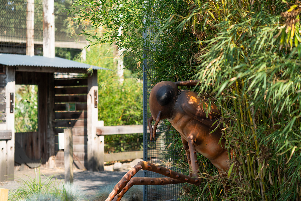 Entreeticket Dierenpark Zie-ZOO