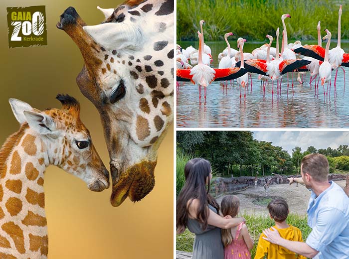 Entreeticket GaiaZOO in Zuid-Limburg