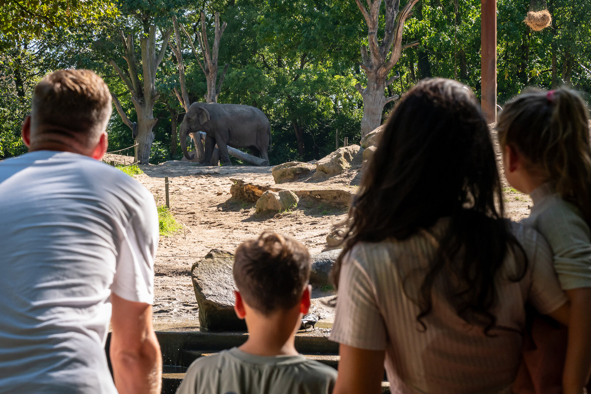 Entreeticket Diergaarde Blijdorp