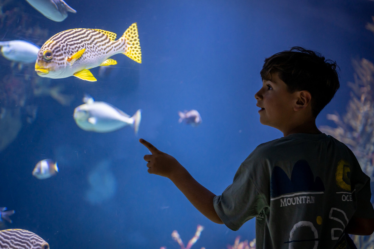 Entreeticket Diergaarde Blijdorp