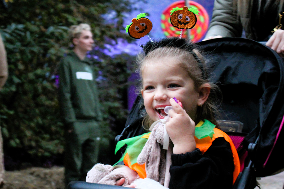 Entreeticket DippieBoe