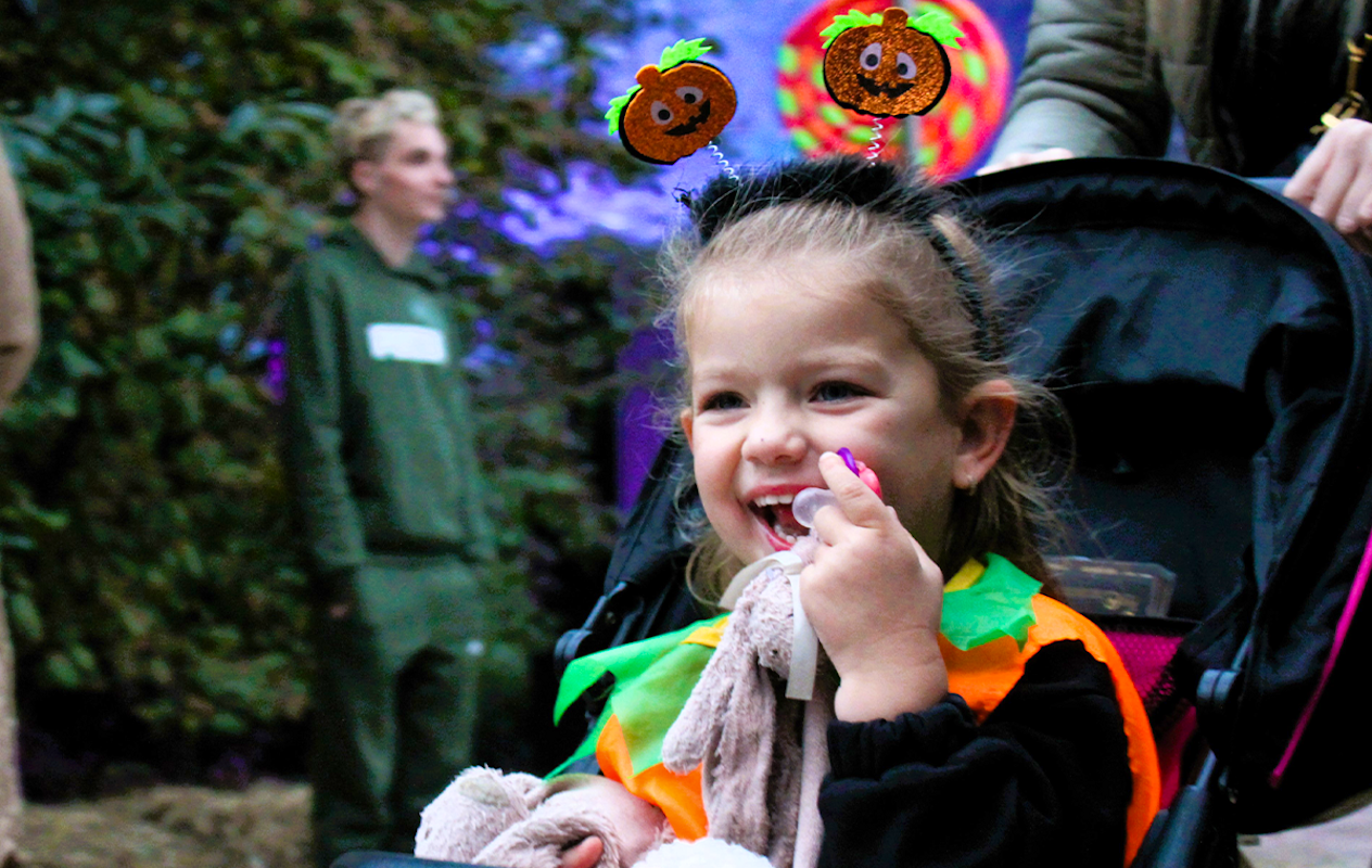 Entreeticket DippieBoe