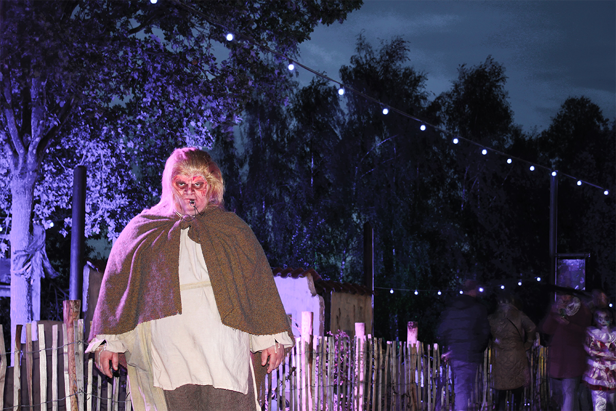 Entreeticket DippieBoe