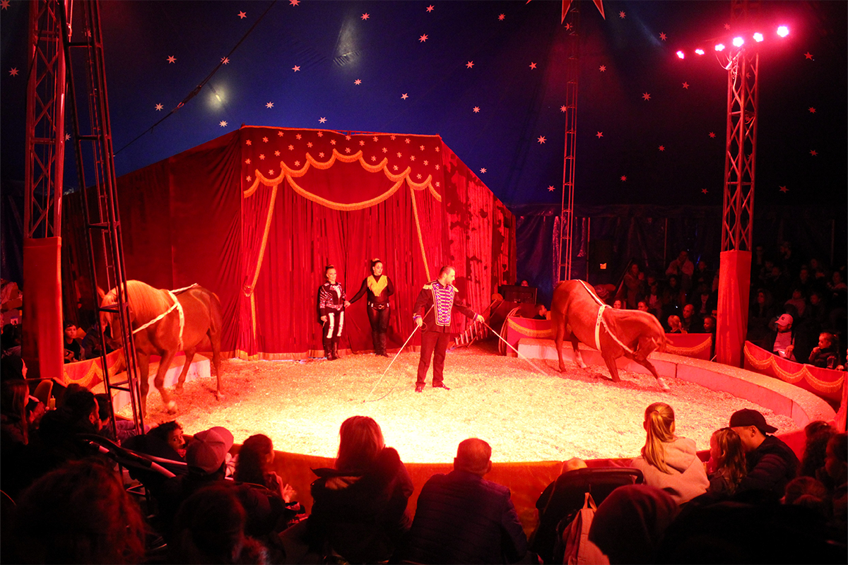 Entreeticket DippieBoe