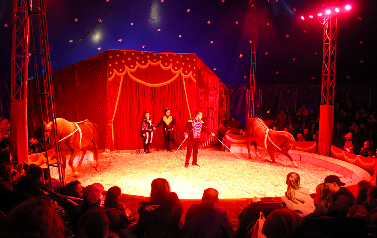 Entreeticket DippieBoe