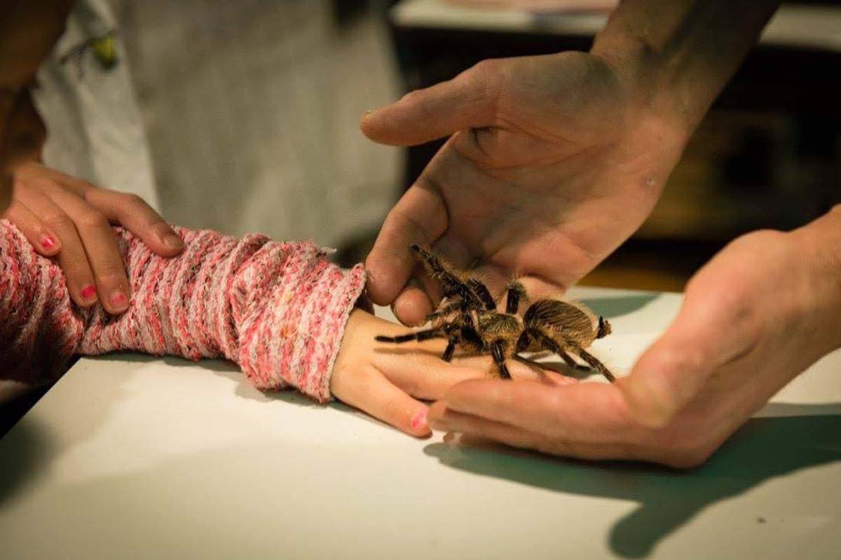 Entreeticket DoeZoo in Leens