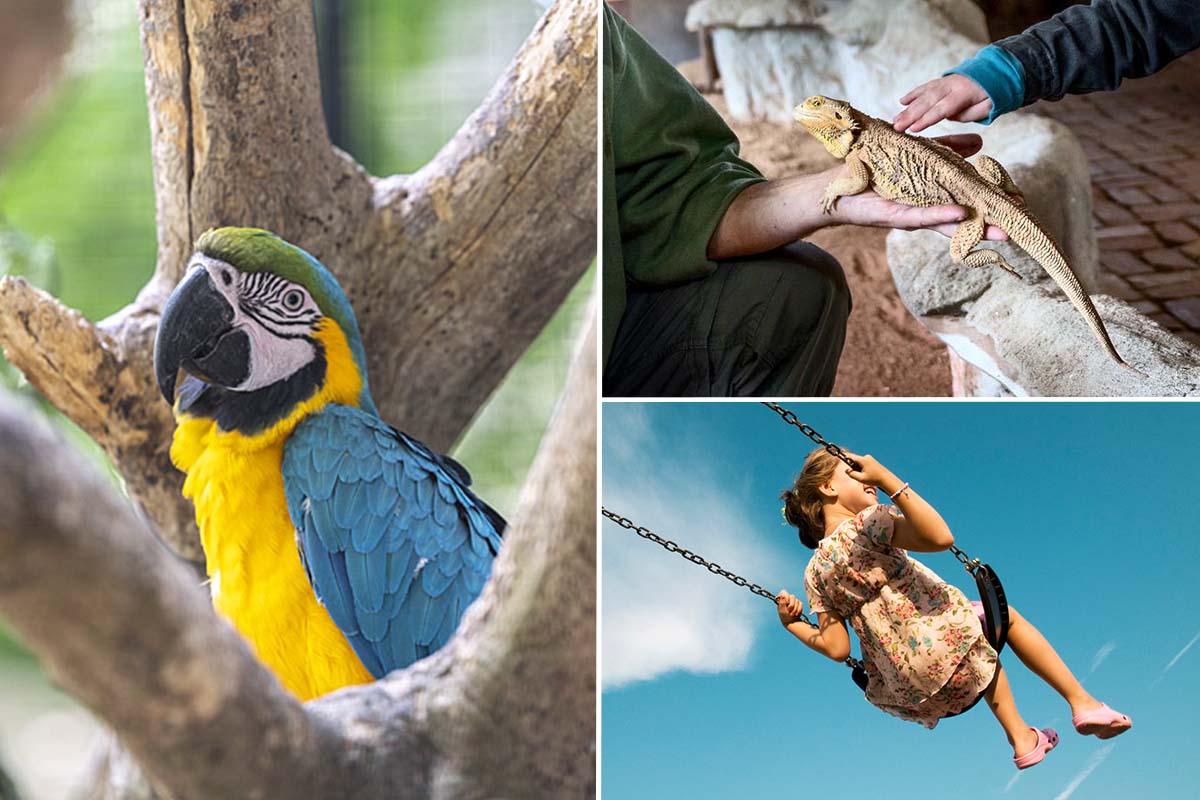 Entreeticket DoeZoo in Leens