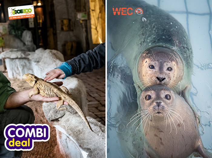 Combiticket DoeZoo x WEC Zeehondencentrum