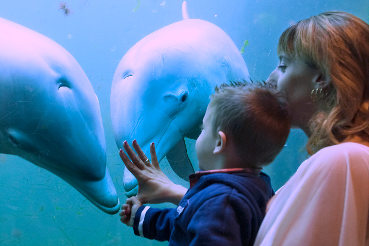 Entreeticket Dolfinarium