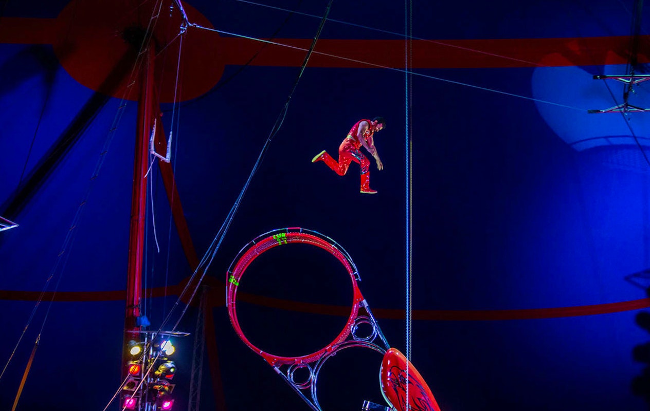 Entreeticket Dordts Wintercircus