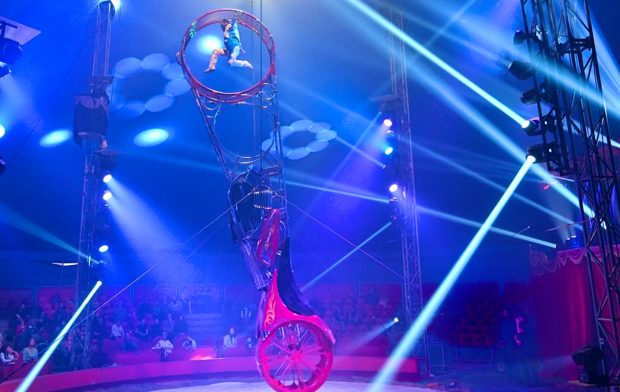 Entreeticket Dordts Wintercircus