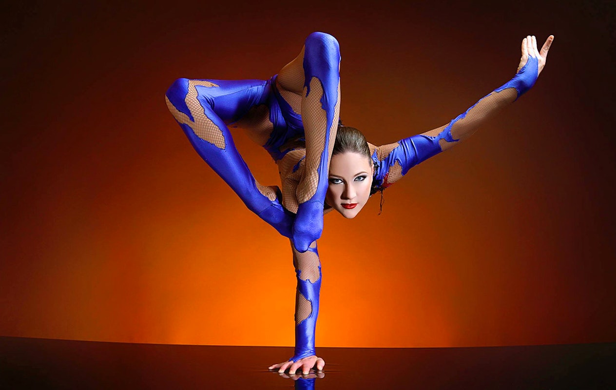 Entreeticket Dordts Wintercircus